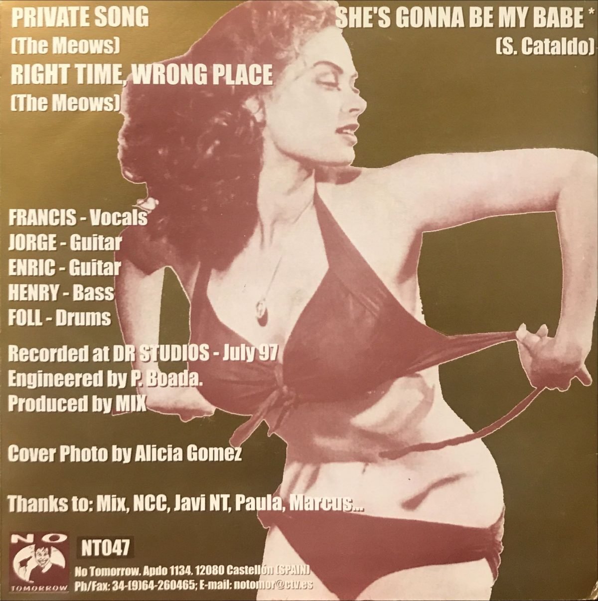The Meows ‎– Private Song 45lik Plak (Garage Rock) - Görsel 2