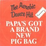 Pigbag – Papa's Got A Brand New Pigbag 45lik Plak