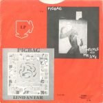 Pigbag – Papa's Got A Brand New Pigbag 45lik Plak - Görsel 2