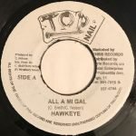 Hawkeye ‎– All A Mi Gal / Version 45lik Plak (Reggae)