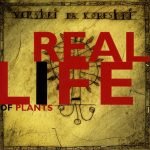 Vershki Da Koreshki – Real Life Of Plants CD