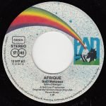 Afrique – Soul Makossa 45lik Plak (Afrobeat) - Görsel 3