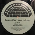 Suzanne Ciani – Music For Denali LP Plak - Görsel 3