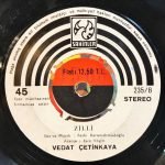 Vedat Çetinkaya – Çapkın Kadın / Zilli 45lik Plak - Görsel 3