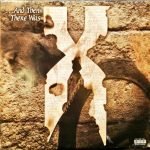 DMX – ...And Then There Was X 2LP Plak