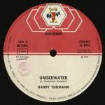 Harry Thumann – Underwater / American Express 12'' Maxi Single Plak - Görsel 2