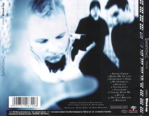 Evanescence – Fallen CD - Görsel 2