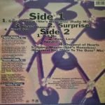 Crystal Waters – Surprise LP Plak - Görsel 2