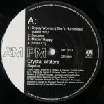 Crystal Waters – Surprise LP Plak - Görsel 3