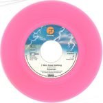 Sylvester – I Who Have Nothing 45lik Renkli Plak - Görsel 2