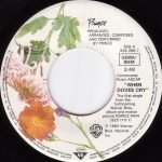 Prince – When Doves Cry 45lik Plak - Görsel 3