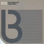 Pole Folder & CP – Apollo Vibes (Remixes) 12'' Maxi Single Plak (Progressive House / Trance)