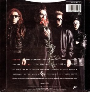 Dead Or Alive – Hooked On Love 45lik Plak - Görsel 3