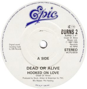 Dead Or Alive – Hooked On Love 45lik Plak - Görsel 2