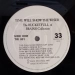 Time Will Show The Wiser - The Bucketfull Of Brains Collection LP Plak - Görsel 2
