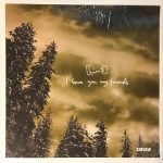Hird ‎– I Love You My Friends 12'' Maxi Single Plak (Future Jazz)