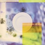 Aromabar – Sweetness Of Joy 12'' Maxi Single Plak (Future Jazz)