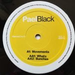 Pael Black – Movements 12'' Maxi Single Plak (Future Jazz)