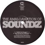 The Amalgamation Of Soundz – Alone 12'' Maxi Single Plak (Future Jazz) - Görsel 2