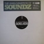 The Amalgamation Of Soundz – Alone 12'' Maxi Single Plak (Future Jazz)