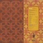 Groove Collective – Everything Is Changing 12'' Maxi Single Plak (Early House) - Görsel 3