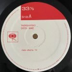 Takehisa Kosugi – Catch - Wave LP Plak - Görsel 4