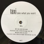 Taxi – Take What You Want 12'' Maxi Single Plak (Deep House) - Görsel 2