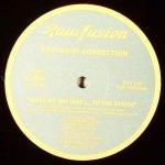 Southside Connection – Make No Mistake (...To The Disco) 12'' Maxi Single Plak (House)