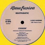 Beatfanatic – Jogando Capoiera 12'' Maxi Single Plak (Future Jazz) - Görsel 2