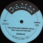 Boogaloo – You Gotta Have Freedom 12'' Maxi Single Plak (Acid Jazz)