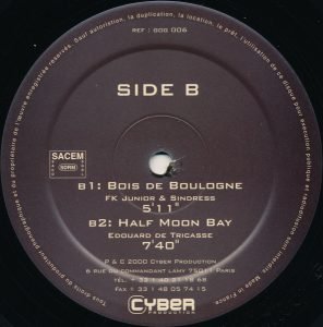 Edouard De Tricasse – The Taj Mahal Winds 12'' Maxi Single Plak (Tribal House) - Görsel 2