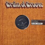 Edouard De Tricasse – The Taj Mahal Winds 12'' Maxi Single Plak (Tribal House)