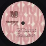 Petalpusher – Breakin' It Down 12'' Maxi Single Plak (Early House) - Görsel 2