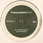 Transcendent Minds – Lunar Visionz 12'' Maxi Single Plak (Future Jazz)
