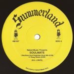 Summerland – Soulmate 12'' Maxi Single Plak (Deep House) - Görsel 2