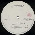 Fields Of The Nephilim – Returning To Gehenna 12'' EP Plak - Görsel 3