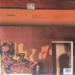 Darkleaf – Eclectic Storm 12'' Maxi Single Plak - Görsel 2