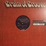 The Brothers From Rio – Vida Feliz 12'' Maxi Single Plak (House) - Görsel 2