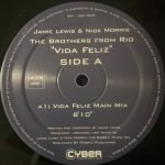 The Brothers From Rio – Vida Feliz 12'' Maxi Single Plak (House)