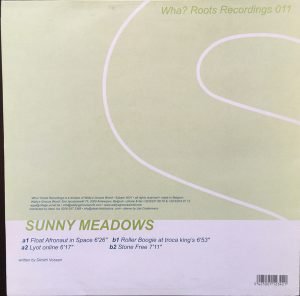 Sunny Meadows – Float Afronaut In Space 12'' Maxi Single Plak (Deep House) - Görsel 3