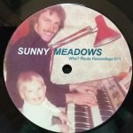 Sunny Meadows – Float Afronaut In Space 12'' Maxi Single Plak (Deep House) - Görsel 2