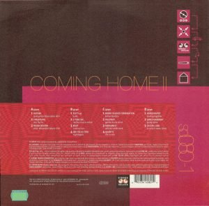 Coming Home II 2xLP Plak (Future Jazz) - Görsel 3
