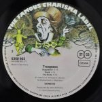Genesis – Trespass LP Plak - Görsel 4