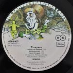 Genesis – Trespass LP Plak - Görsel 3