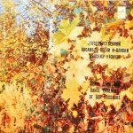 State Song And Dance Ensemble Of Don Cossacks – Cossack Folk Songs LP Plak