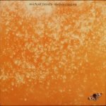Michael Franks – Sleeping Gypsy LP Plak