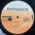 Entrance – Entrance LP Plak - Görsel 3
