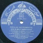 رفيق حبيقة – أنغام شائعة  ( Rafiq Hbayka ) - Popular Instrumental Hits In Belly Dance Style LP Plak - Görsel 3