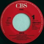 Fake – Brick 45lik Plak - Görsel 3