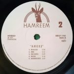 George Mgrdichian, Mohammed El Akkad – Areej LP Plak - Görsel 6